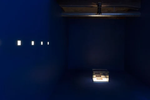 _C9B6291_web