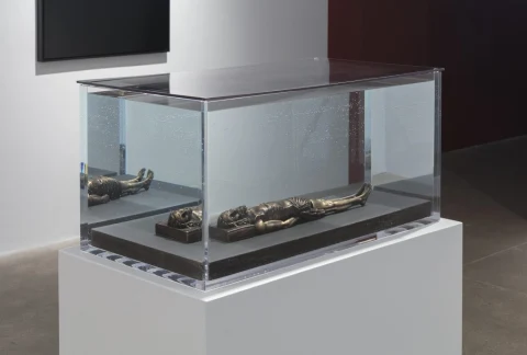 Conatus (Exhibition)