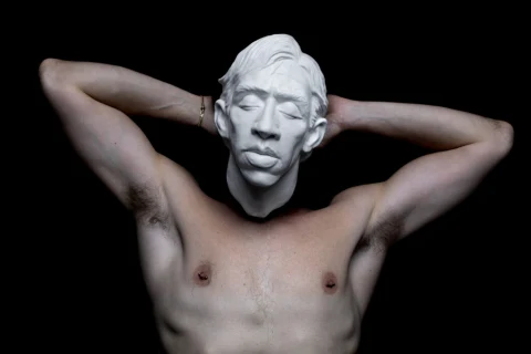 Still Lives