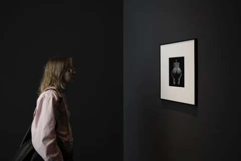 Untitled (América Latina)